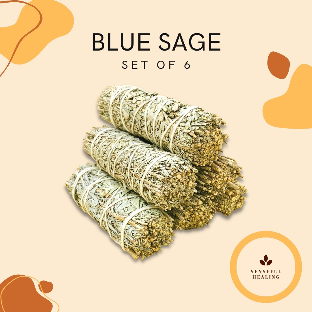 Blue Sage (6 Pack) - Senseful Healing | blue sage sage sets