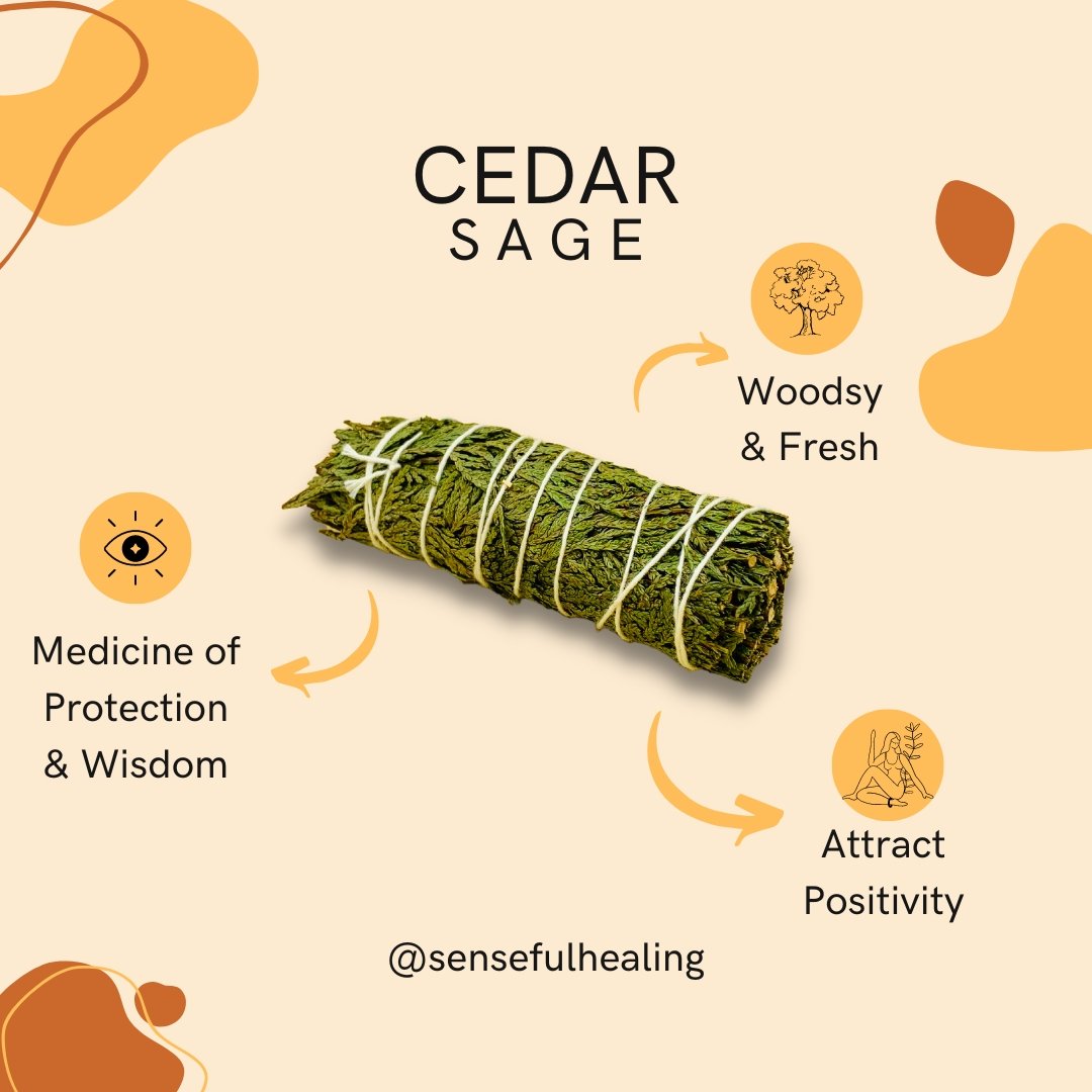 Cedar Smudge Stick - Senseful Healing | cedar sage singles & more