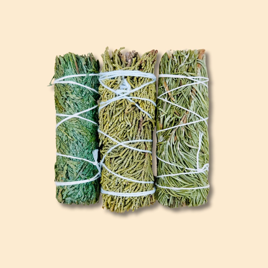 Evergreen Smudge Set (3 Bundles) - Senseful Healing | cedar sage juniper sage rosemary sage