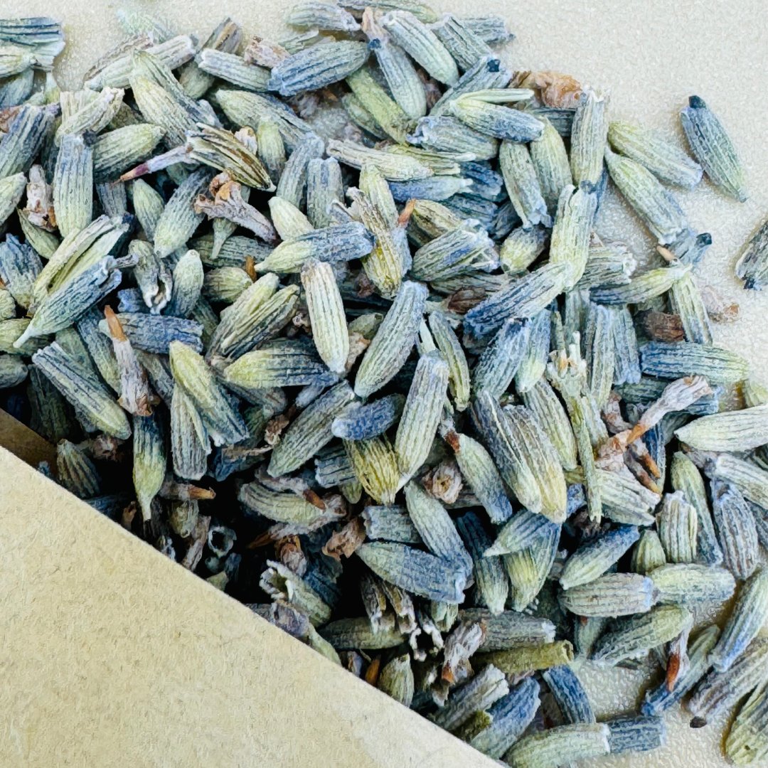 Lavender Flower Smudging Loose Leaf (0.5oz) - Senseful Healing | lavender singles & more