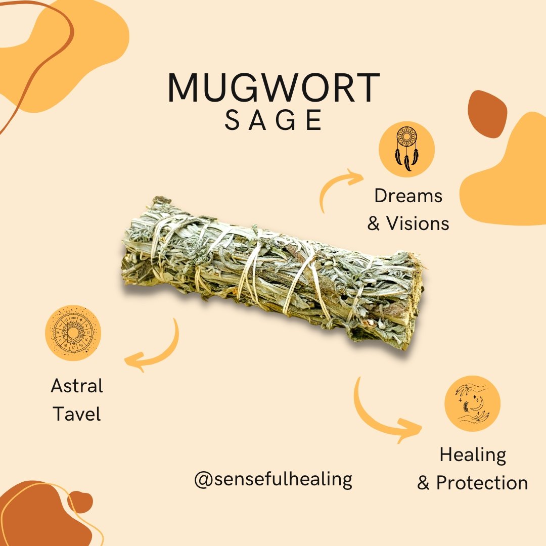 Mugwort Sage (3 Pack) - Senseful Healing | mugwort sage sage sets