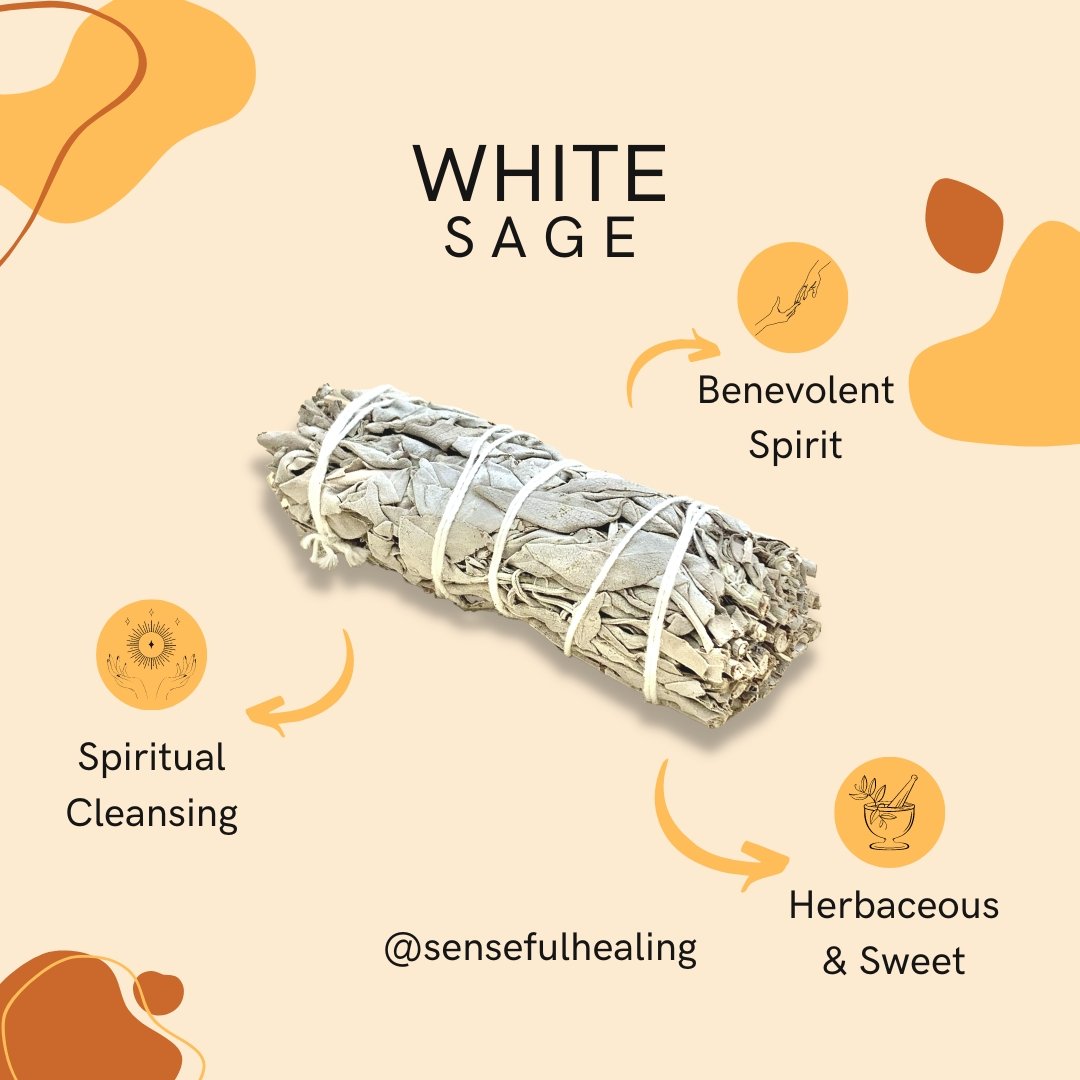 White Sage & Palo Santo (Set of 5) - Senseful Healing | palo santo sage sets white sage