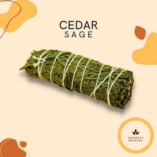 Cedar Smudge Stick (4 inches) - Senseful Healing | cedar sage singles & more