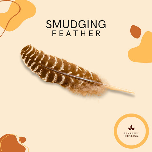 Smudging Feather - Senseful Healing | singles & more smudging feather