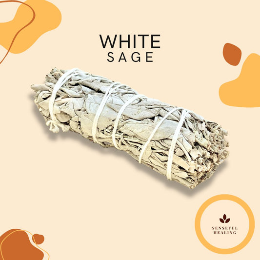 White Sage Stick (4 inches) - Senseful Healing | singles & more white sage