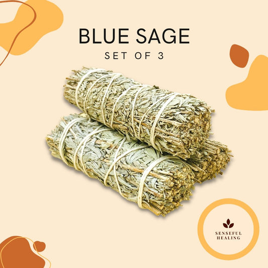 Blue Sage (3 Pack) - Senseful Healing | blue sage sage sets
