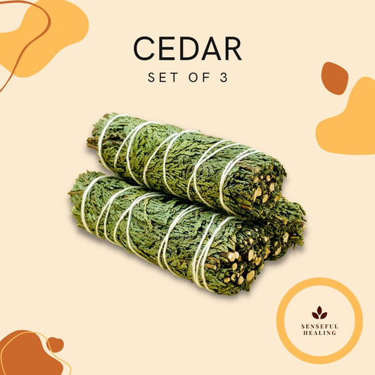 Cedar (3 Pack) - Senseful Healing | cedar sage sage sets