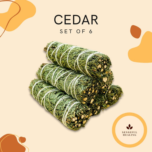 Cedar (6 Pack) - Senseful Healing | cedar sage sage sets
