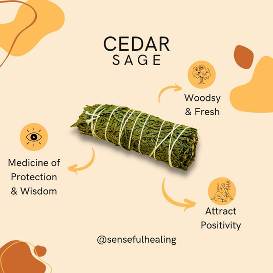 Cedar Smudge Stick - Senseful Healing | cedar sage singles & more