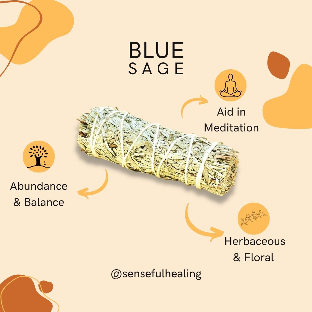 Cleansing Protection and Grounding Smudging Pack (Set of 5 Sage Bundles) - Senseful Healing | smudging benefits of blue sage