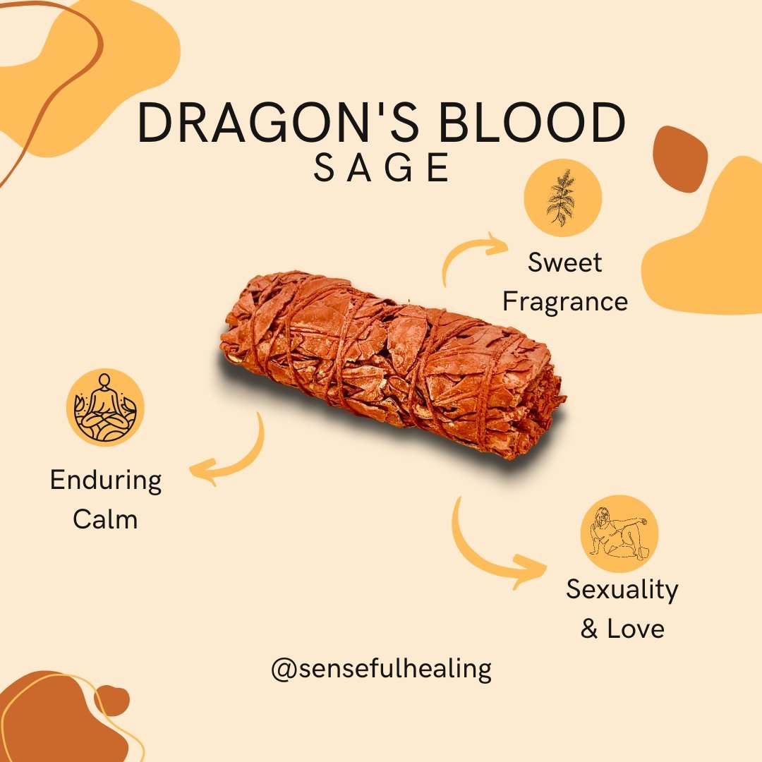 Cleansing Protection and Grounding Smudging Pack (Set of 5 Sage Bundles) - Senseful Healing | benefits of dragon's blood sage