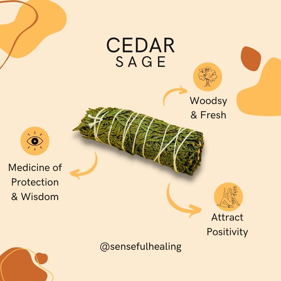 Cleansing Protection and Grounding Smudging Pack (Set of 5 Sage Bundles) - Senseful Healing | smudging benefits of cedar