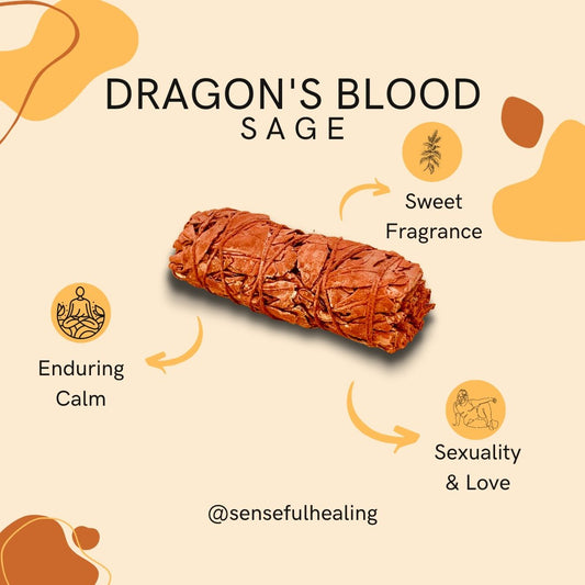 Dragon's Blood (Red) Sage - Senseful Healing | dragon's blood sage singles & more