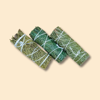 Evergreen Smudge Set (3 Bundles) - Senseful Healing | cedar sage juniper sage rosemary sage