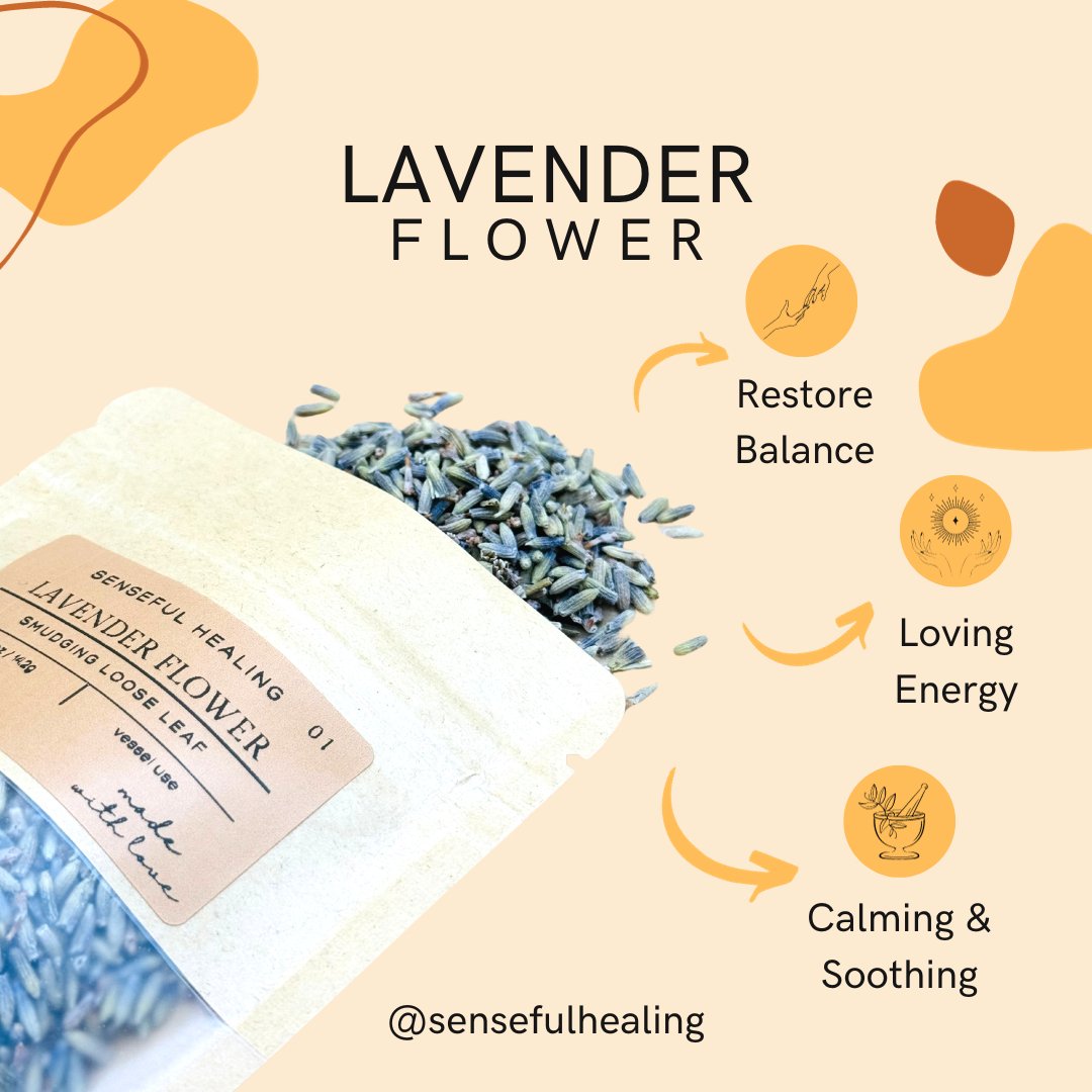 Lavender Flower Smudging Loose Leaf (0.5oz) - Senseful Healing | lavender singles & more