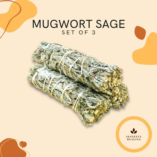 Mugwort Sage (3 Pack) - Senseful Healing | mugwort sage sage sets