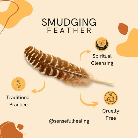 Smudging Feather - Senseful Healing | singles & more smudging feather