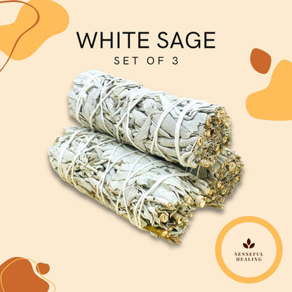 White Sage (3 Pack) - Senseful Healing | sage sets white sage