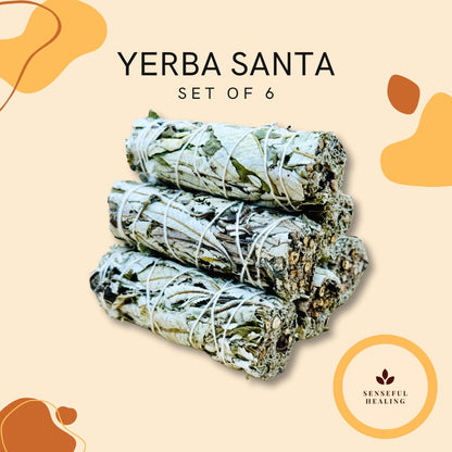 Yerba Santa Sage (6 Pack) - Senseful Healing | sage sets yerba santa sage